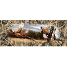 Ringneck Pheasant Tailgate 016